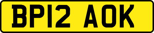 BP12AOK