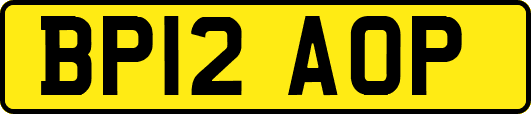 BP12AOP