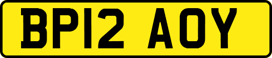 BP12AOY