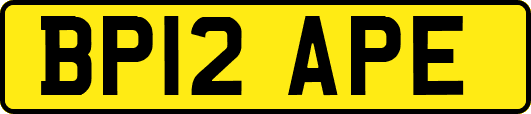 BP12APE