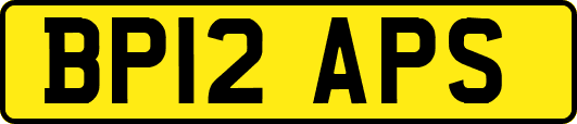 BP12APS