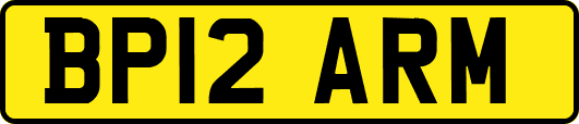 BP12ARM