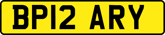 BP12ARY