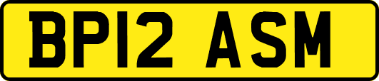 BP12ASM