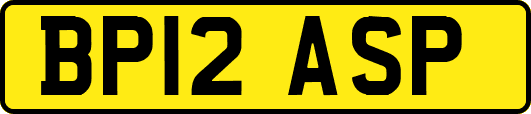 BP12ASP