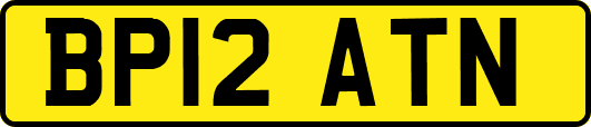 BP12ATN