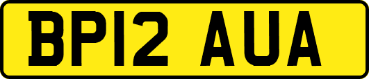 BP12AUA