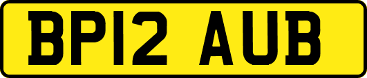 BP12AUB