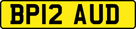 BP12AUD