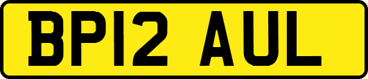 BP12AUL