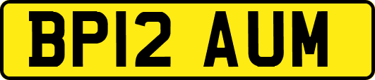 BP12AUM