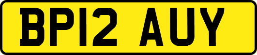 BP12AUY