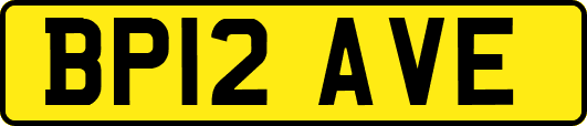 BP12AVE