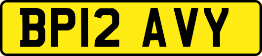 BP12AVY