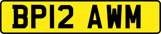 BP12AWM