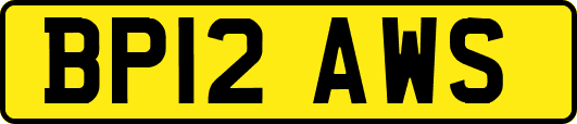 BP12AWS