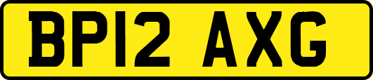 BP12AXG