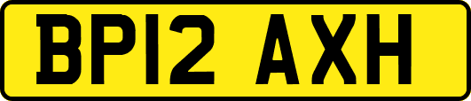 BP12AXH