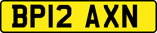 BP12AXN