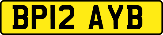 BP12AYB