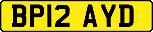 BP12AYD