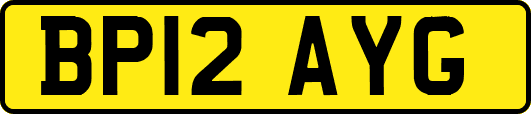 BP12AYG
