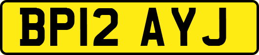 BP12AYJ