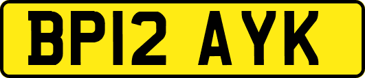BP12AYK
