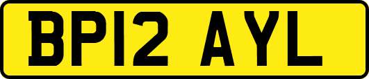 BP12AYL