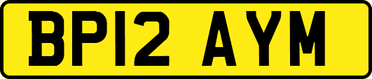 BP12AYM