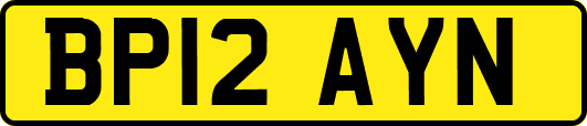 BP12AYN