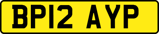 BP12AYP