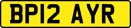 BP12AYR