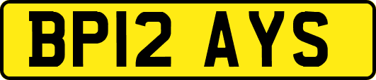 BP12AYS