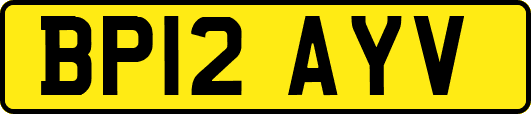 BP12AYV