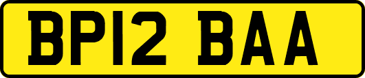 BP12BAA
