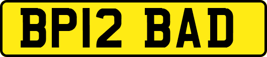 BP12BAD