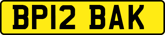 BP12BAK