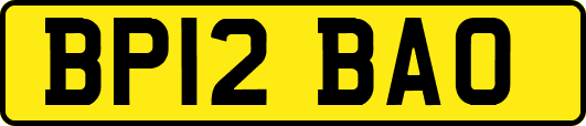 BP12BAO