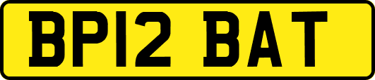 BP12BAT