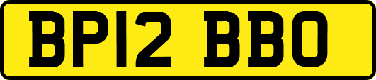 BP12BBO