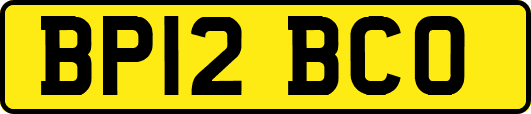 BP12BCO