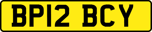 BP12BCY