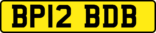 BP12BDB