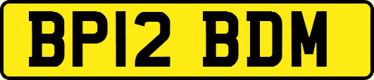 BP12BDM