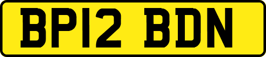 BP12BDN