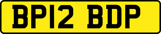 BP12BDP