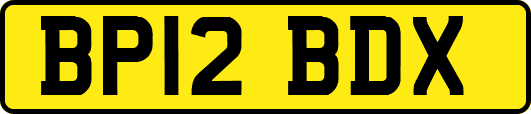BP12BDX