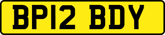 BP12BDY