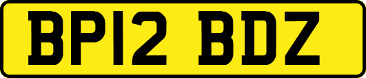BP12BDZ